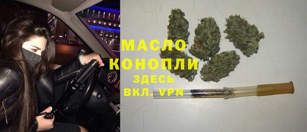 амф Вяземский