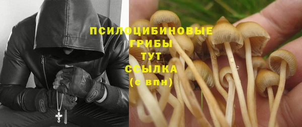 амф Вяземский