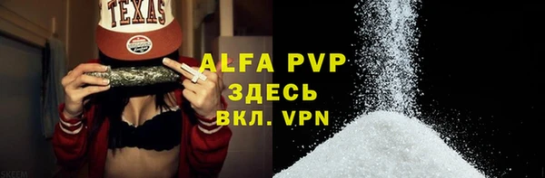 ПСИЛОЦИБИНОВЫЕ ГРИБЫ Вязники