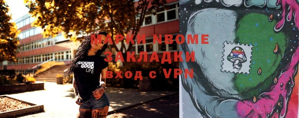 шишки Горно-Алтайск