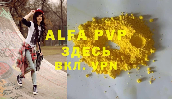шишки Горно-Алтайск
