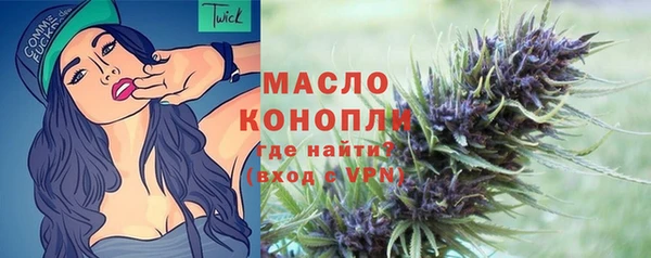 амф Вяземский