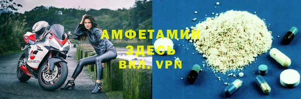 амф Вяземский