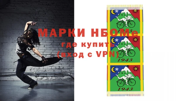 шишки Горно-Алтайск