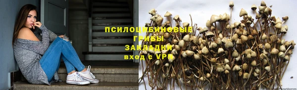 МДПВ Вязьма