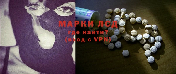ПСИЛОЦИБИНОВЫЕ ГРИБЫ Вязники