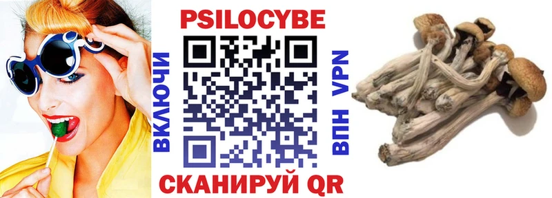 Купить закладки Чапаевск Галлюциногенные грибы мухоморы