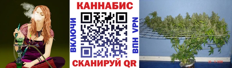 Канабис THC 21%  Купить закладки  Чапаевск 
